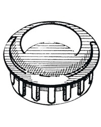 Bouchon ABS chromé pour tube 25 mm