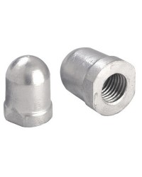 ANODE écrou axe de 40mm filet 28x2,5 pour moteur RENAULT