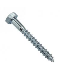 Tirefond 10X80 inox A2 X 10