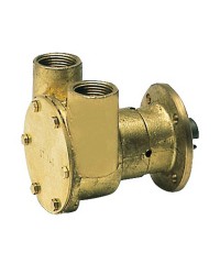Pompe NAUCO modèle FPR040, bridée ref F5B-9-10-24119-4-F5B-9003 Johnson
