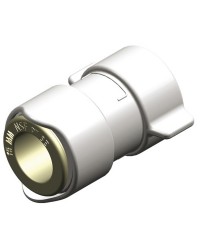 Adaptateur 1/2''BSP femelle Whale
