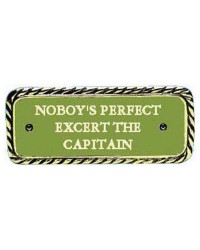 Plaque bronze ''Nobody's perfect''