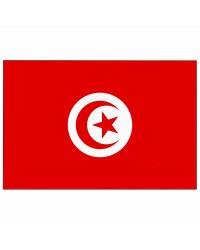 Pavillon Tunisie 30 x 45 cm